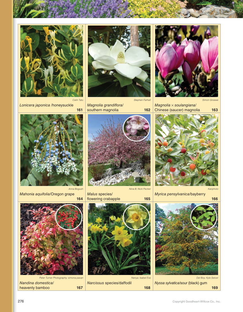 Landscape Design, Installation, and Management, 1st Edition page 276
