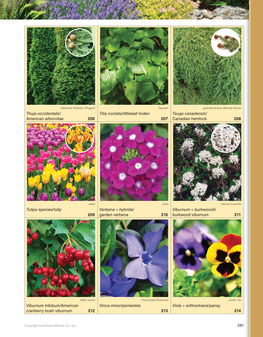 Landscape Design, Installation, and Management, 1st Edition page 281