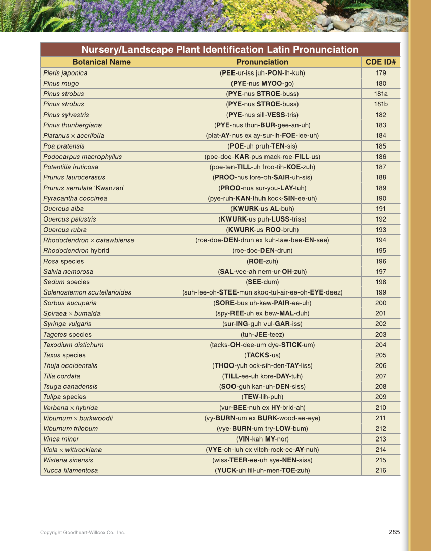 Landscape Design, Installation, and Management, 1st Edition page 285
