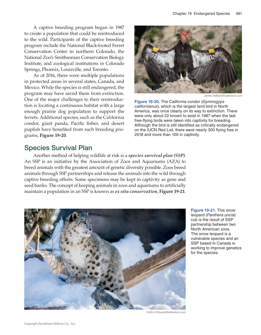 Natural Resources Systems, 1st Edition page 481