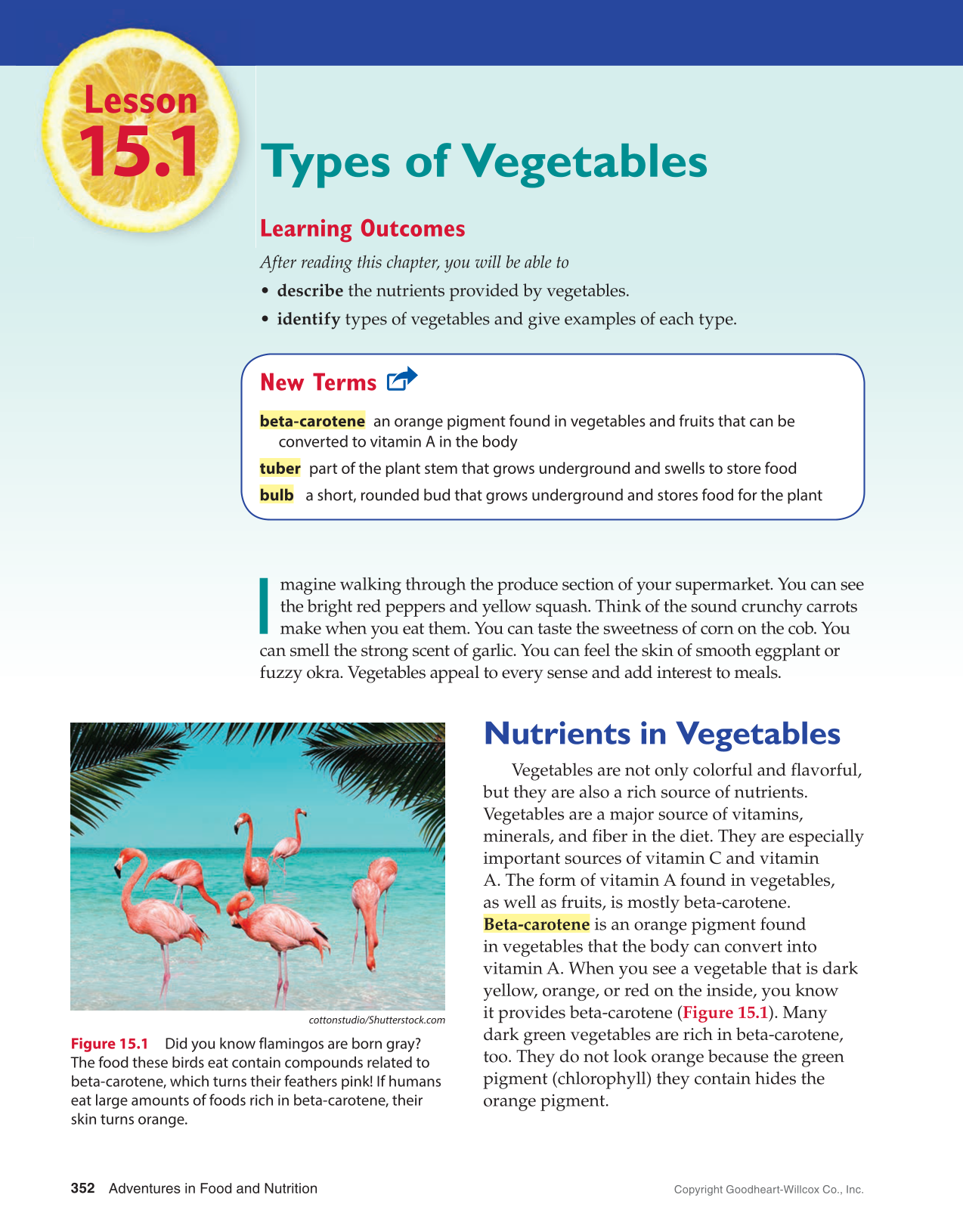 Adventures in Food and Nutrition 6e, Textbook page 352