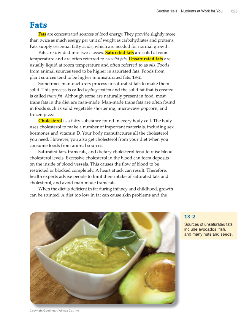 Succeeding in Life and Career: Foundations of Human Studies 12e, Textbook page 325