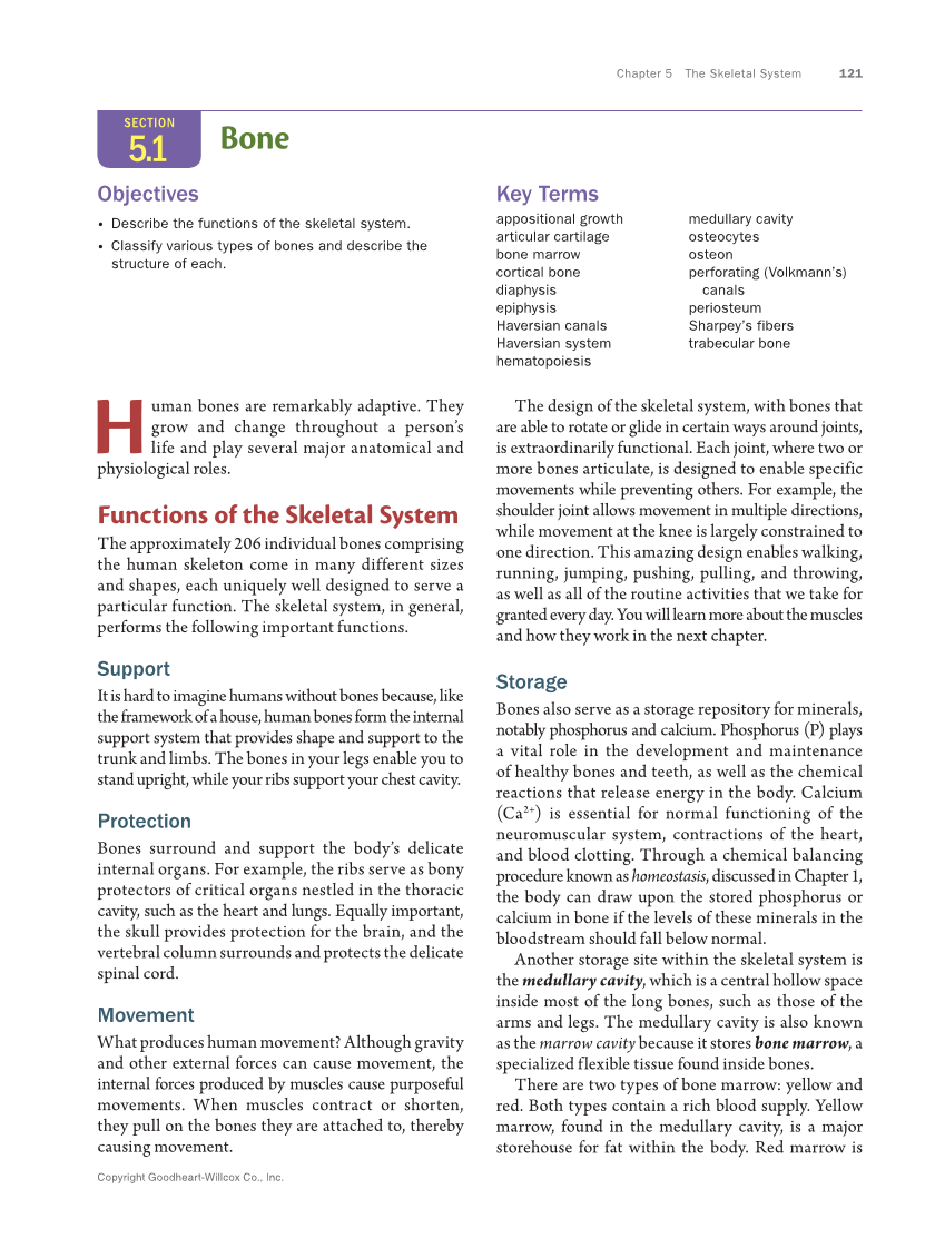 Anatomy & Physiology Essentials 2e, Textbook page 121