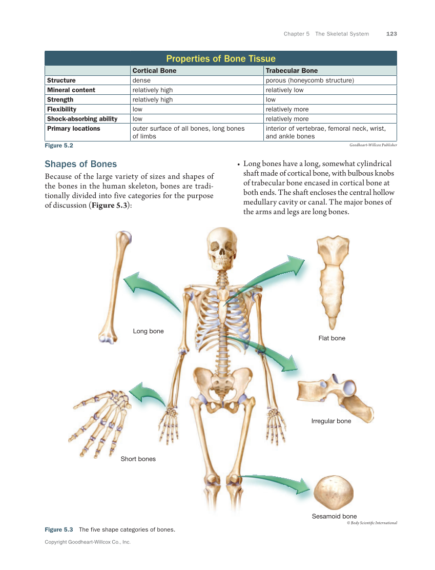 Anatomy & Physiology Essentials 2e, Textbook page 123