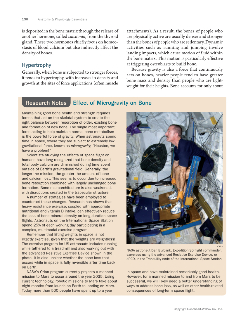 Anatomy & Physiology Essentials 2e, Textbook page 130