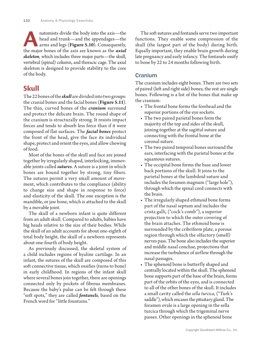 Anatomy & Physiology Essentials 2e, Textbook page 132