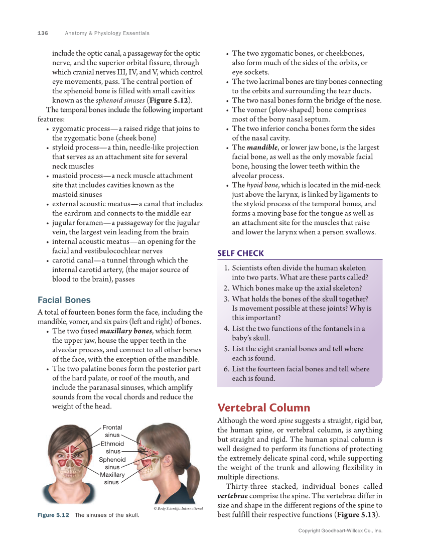 Anatomy & Physiology Essentials 2e, Textbook page 136