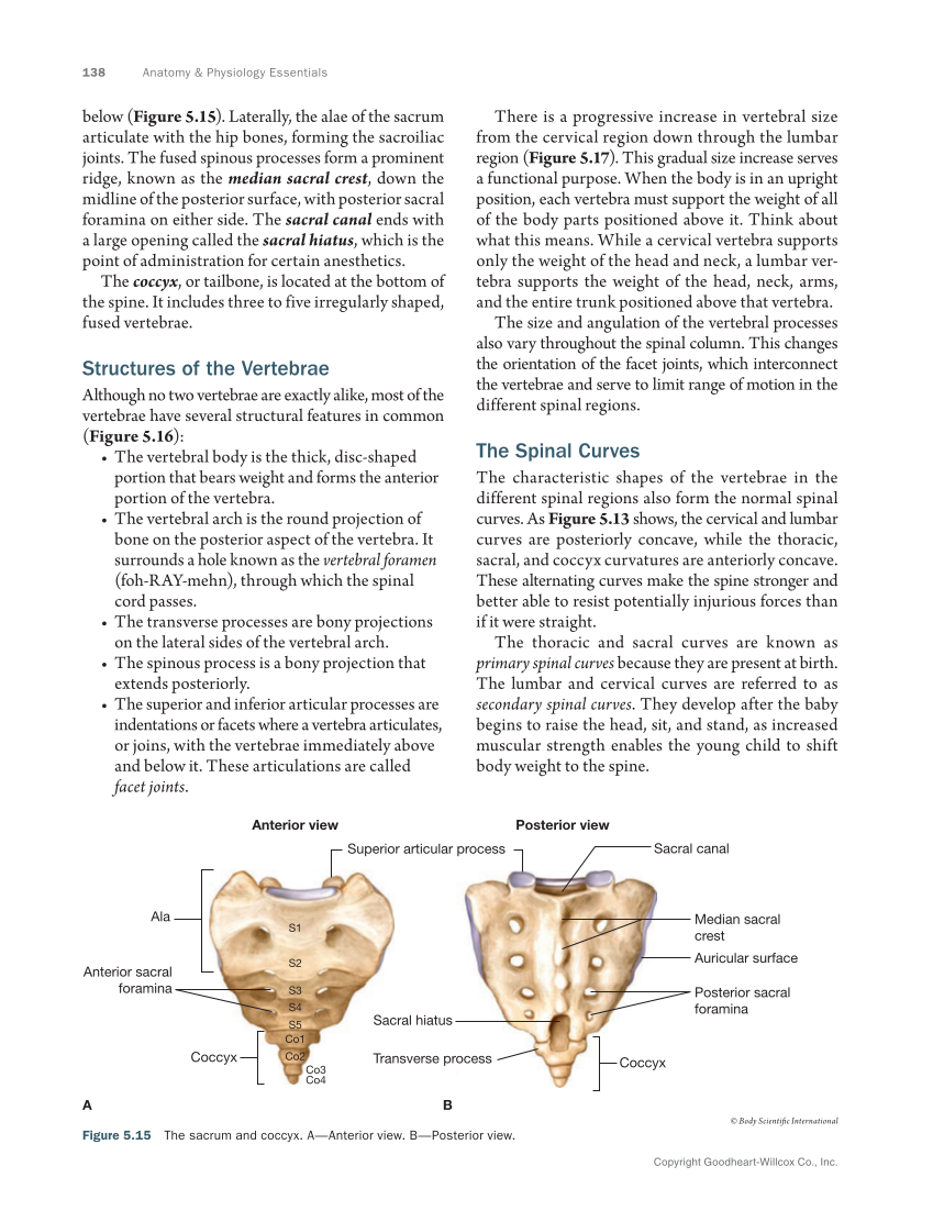 Anatomy & Physiology Essentials 2e, Textbook page 138