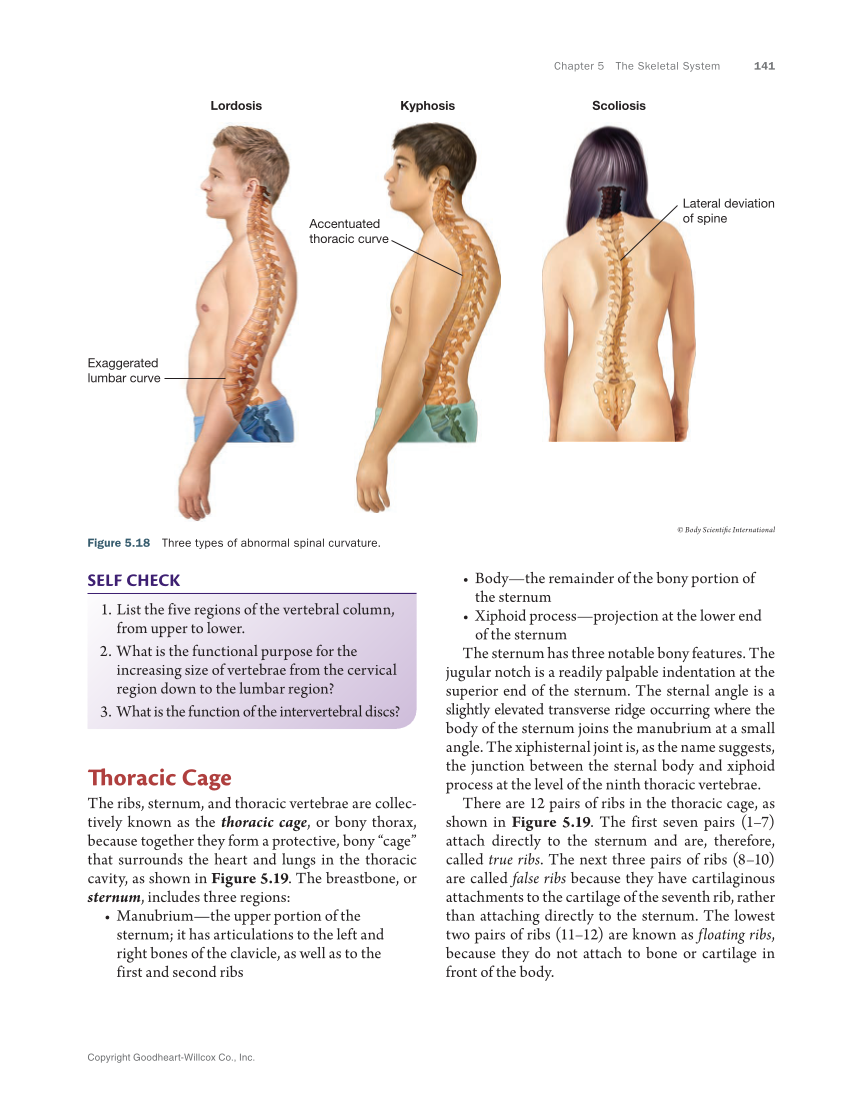 Anatomy & Physiology Essentials 2e, Textbook page 141