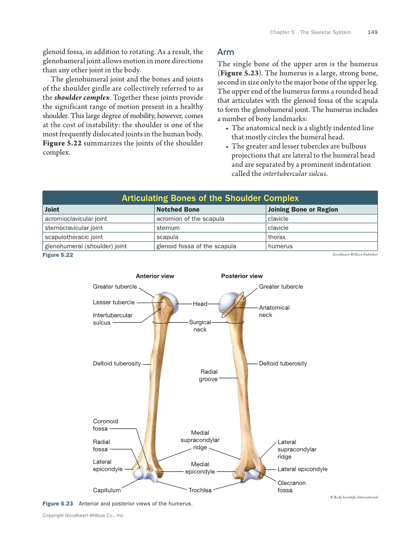 Anatomy & Physiology Essentials 2e, Textbook page 145