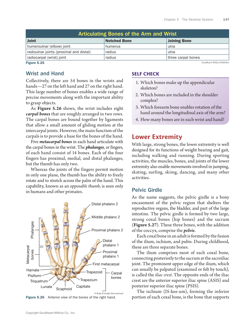 Anatomy & Physiology Essentials 2e, Textbook page 147
