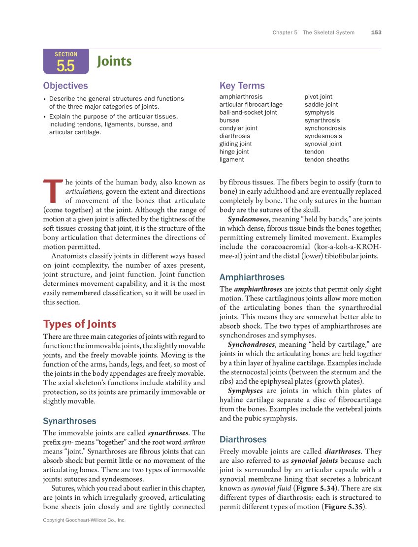 Anatomy & Physiology Essentials 2e, Textbook page 153