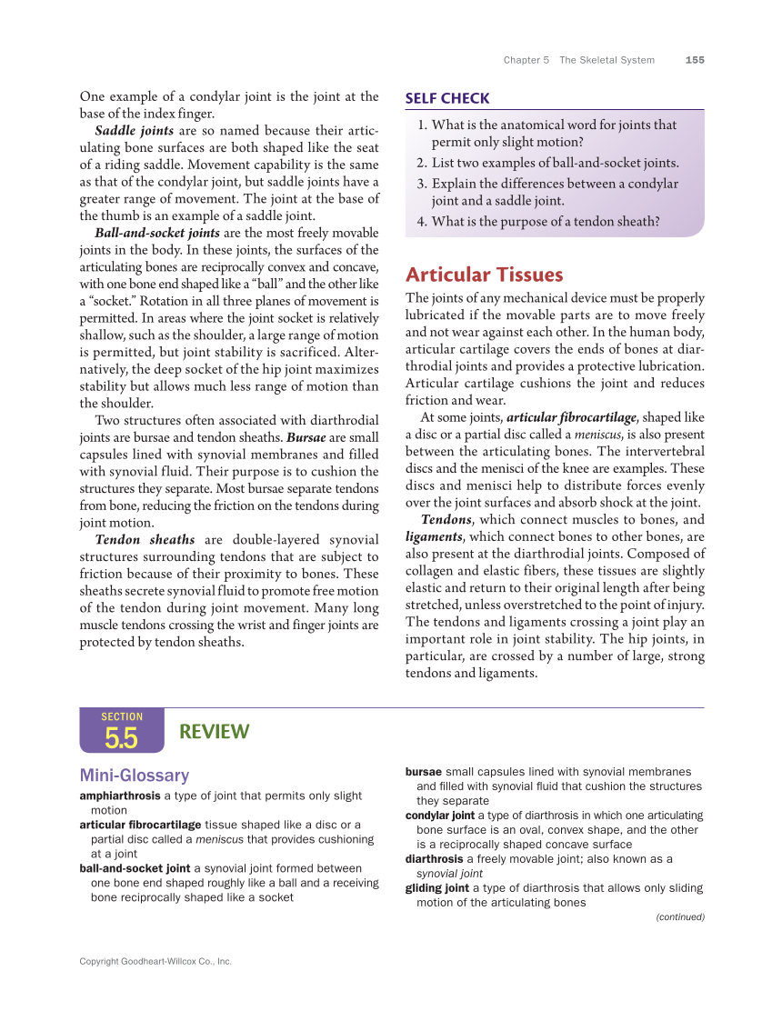 Anatomy & Physiology Essentials 2e, Textbook page 155