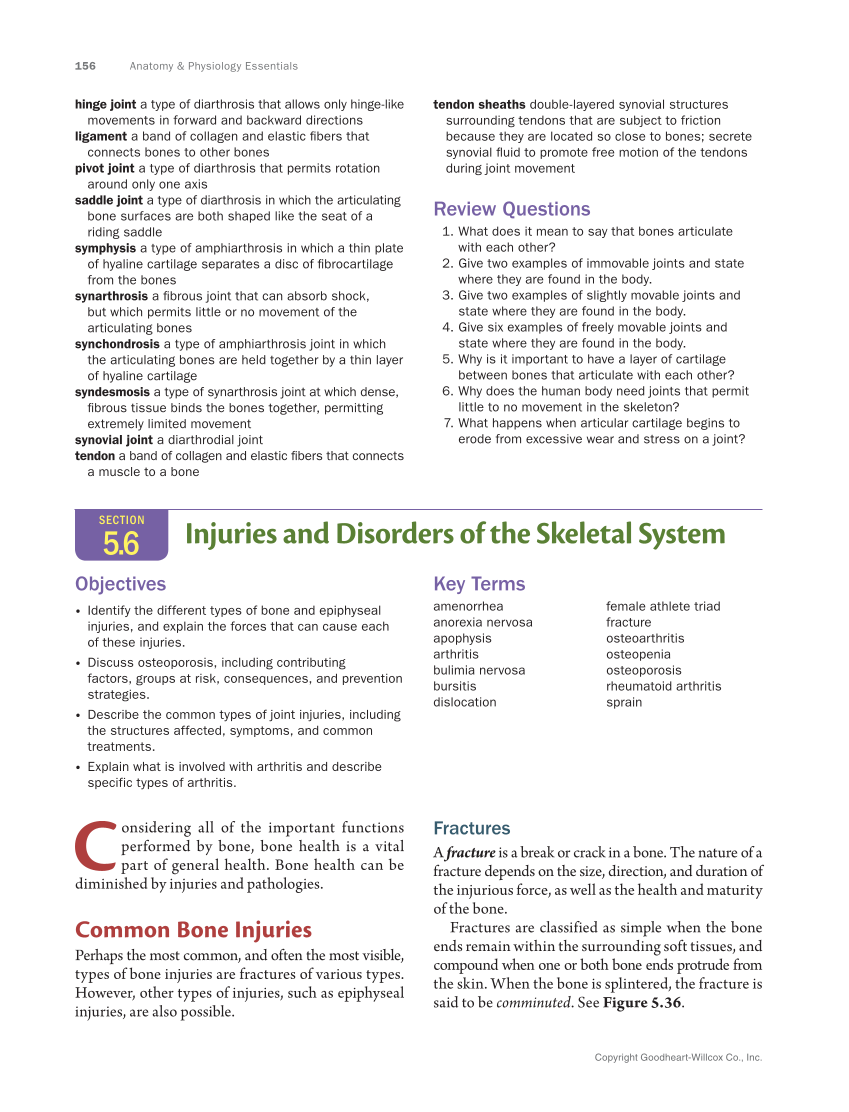Anatomy & Physiology Essentials 2e, Textbook page 156