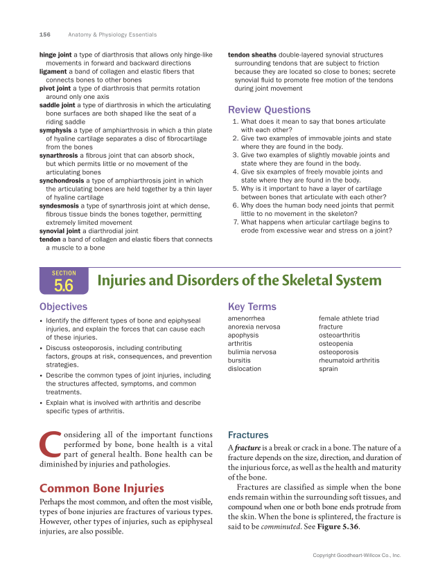 Anatomy & Physiology Essentials 2e, Textbook page 156