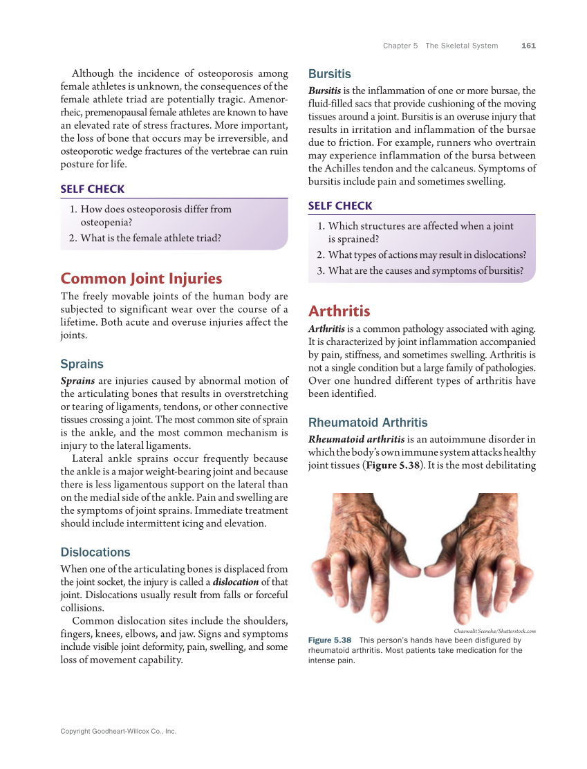 Anatomy & Physiology Essentials 2e, Textbook page 161