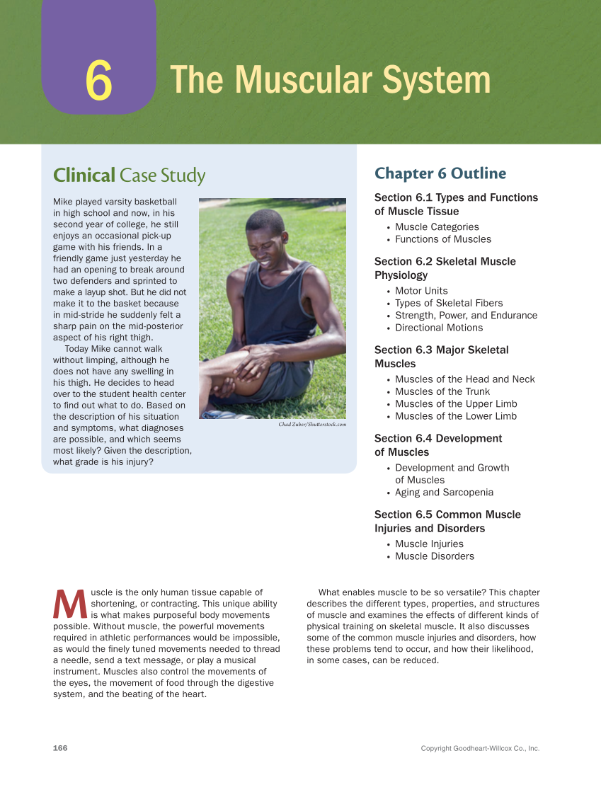 Anatomy & Physiology Essentials 2e, Textbook page 166