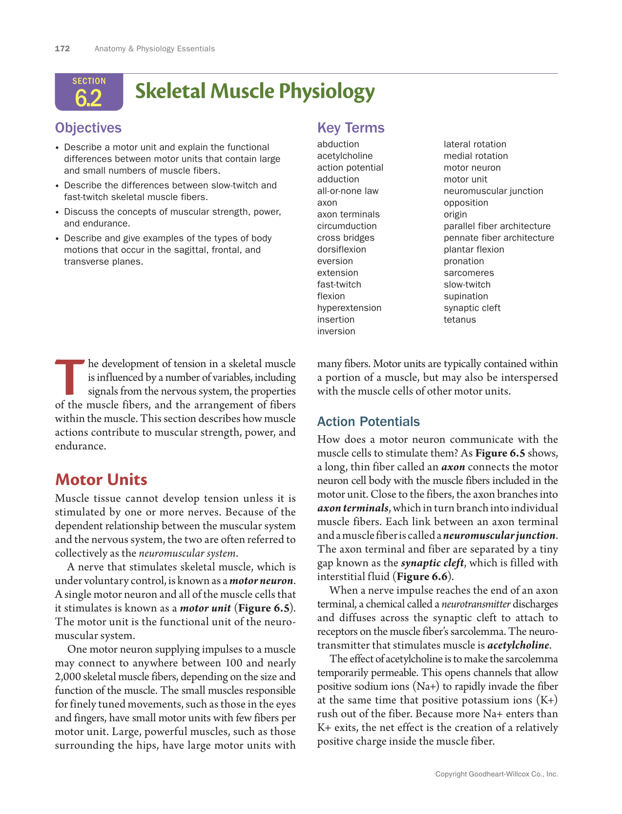 Anatomy & Physiology Essentials 2e, Textbook page 172