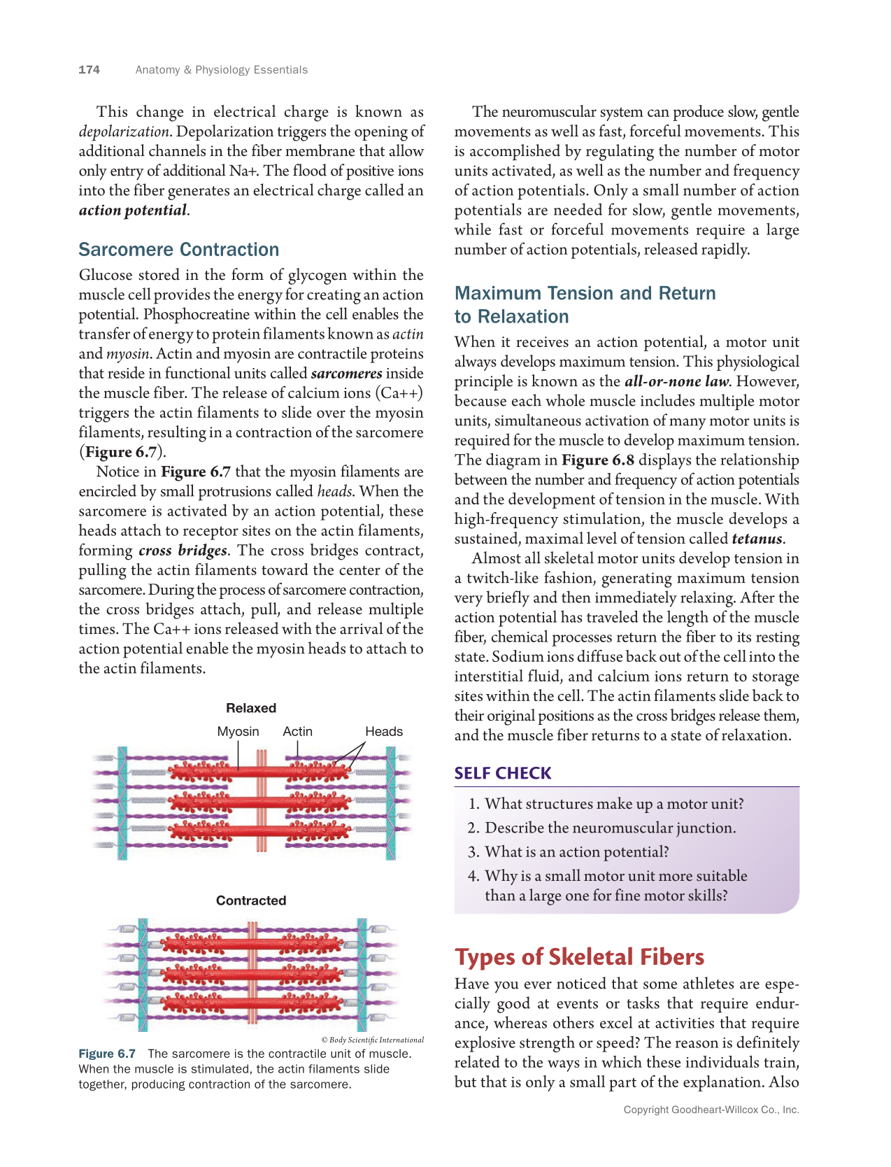 Anatomy & Physiology Essentials 2e, Textbook page 174
