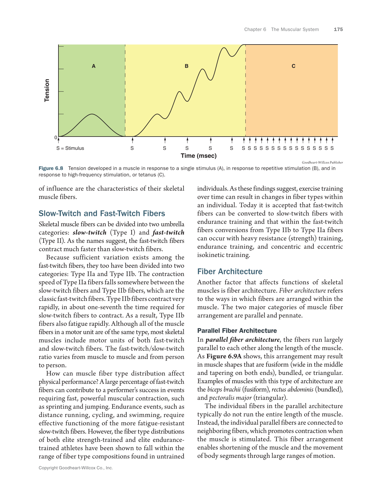 Anatomy & Physiology Essentials 2e, Textbook page 175
