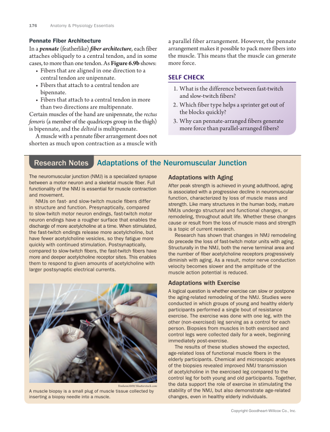 Anatomy & Physiology Essentials 2e, Textbook page 176