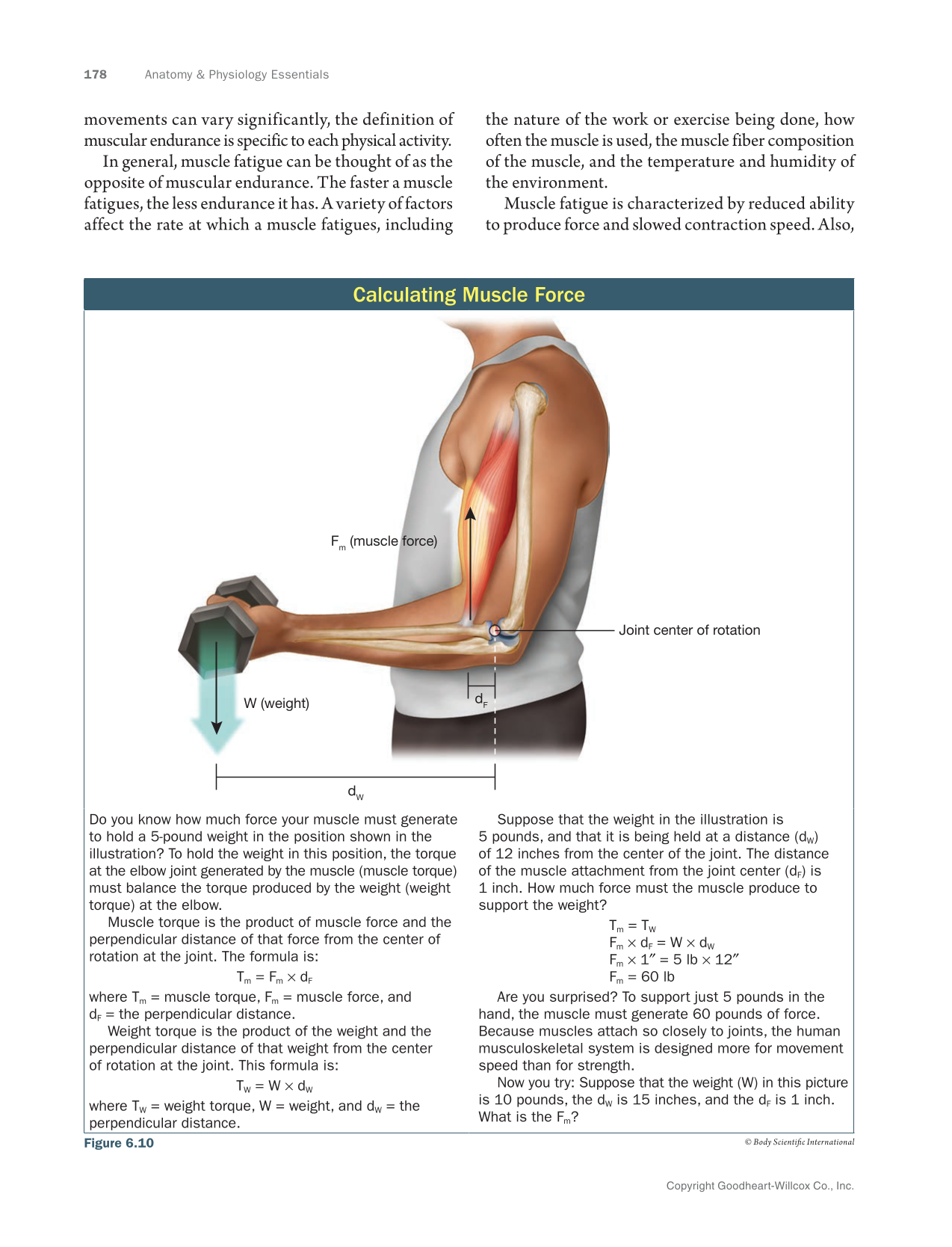 Anatomy & Physiology Essentials 2e, Textbook page 178
