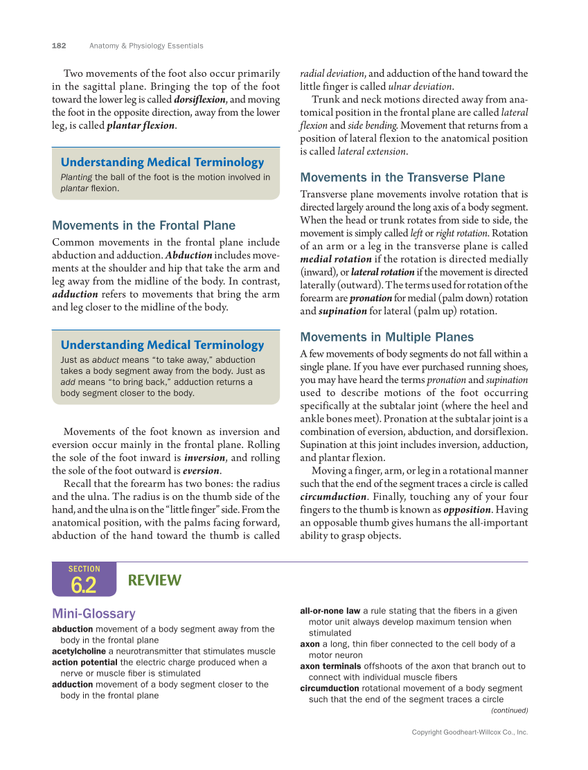 Anatomy & Physiology Essentials 2e, Textbook page 182