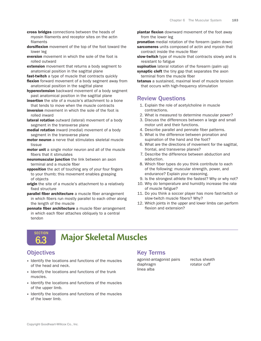Anatomy & Physiology Essentials 2e, Textbook page 183