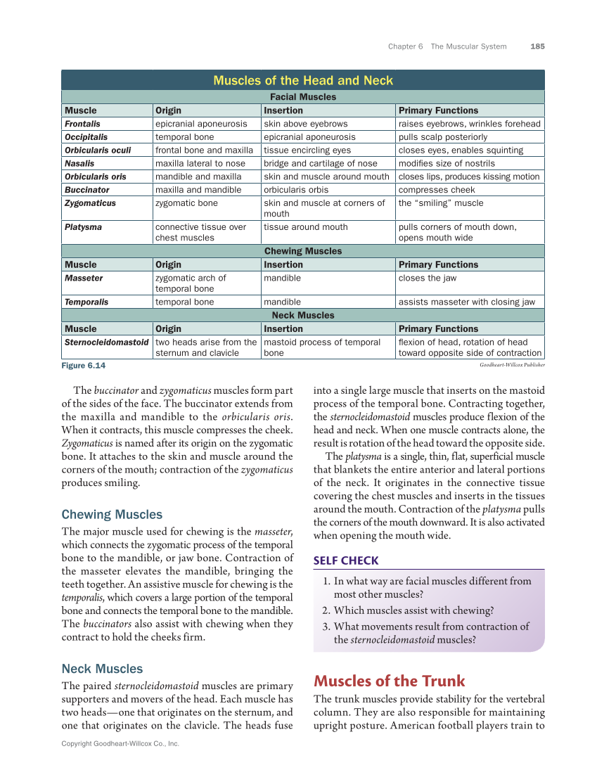 Anatomy & Physiology Essentials 2e, Textbook page 185