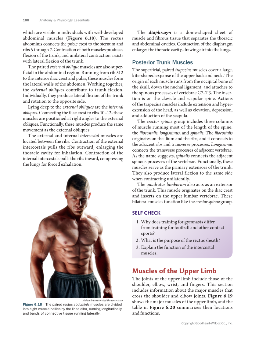 Anatomy & Physiology Essentials 2e, Textbook page 188