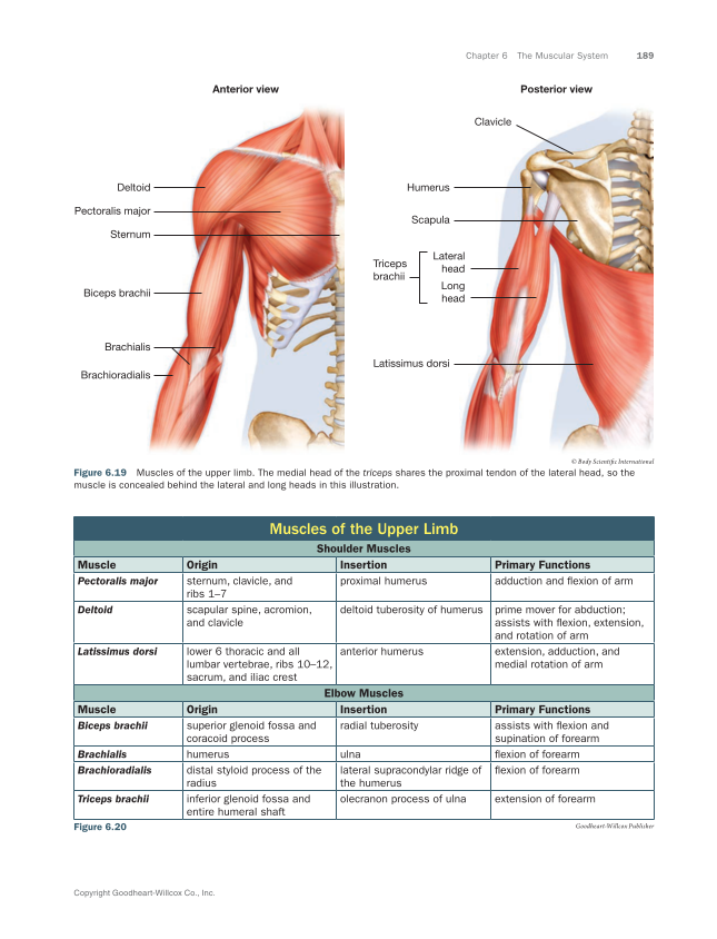 Anatomy & Physiology Essentials 2e, Textbook page 189