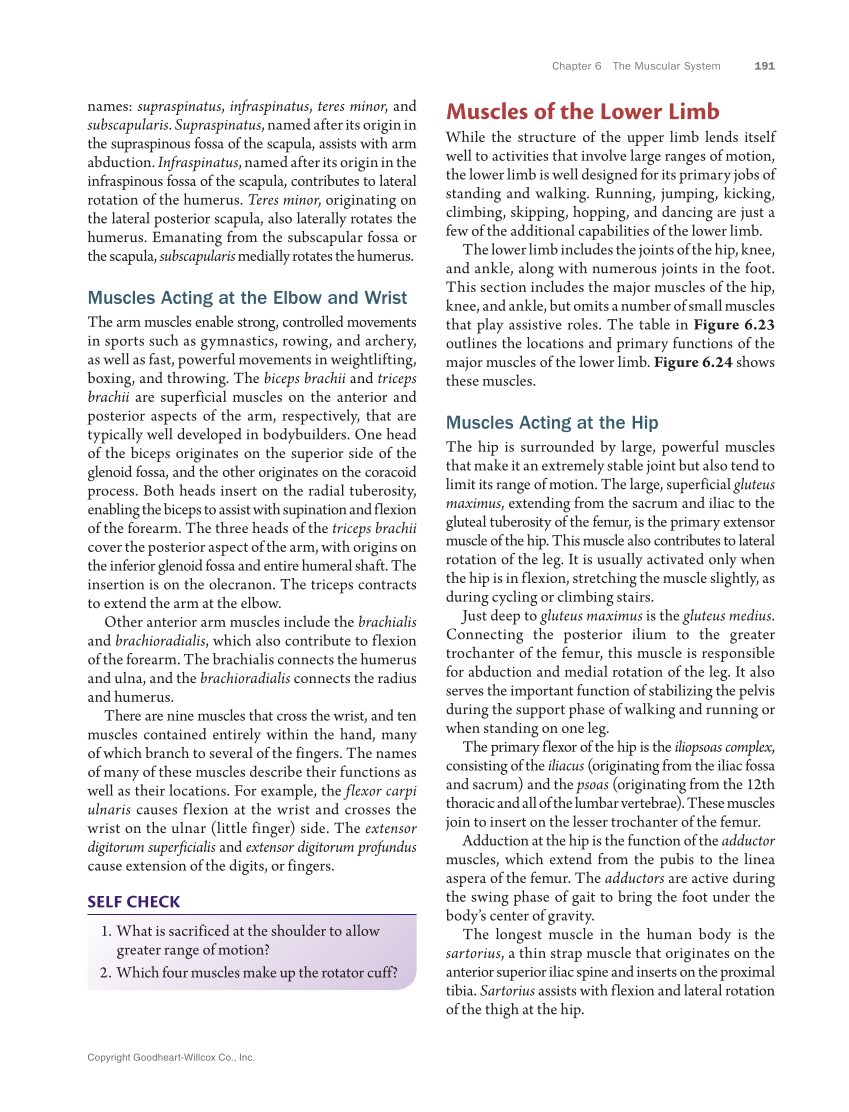 Anatomy & Physiology Essentials 2e, Textbook page 191