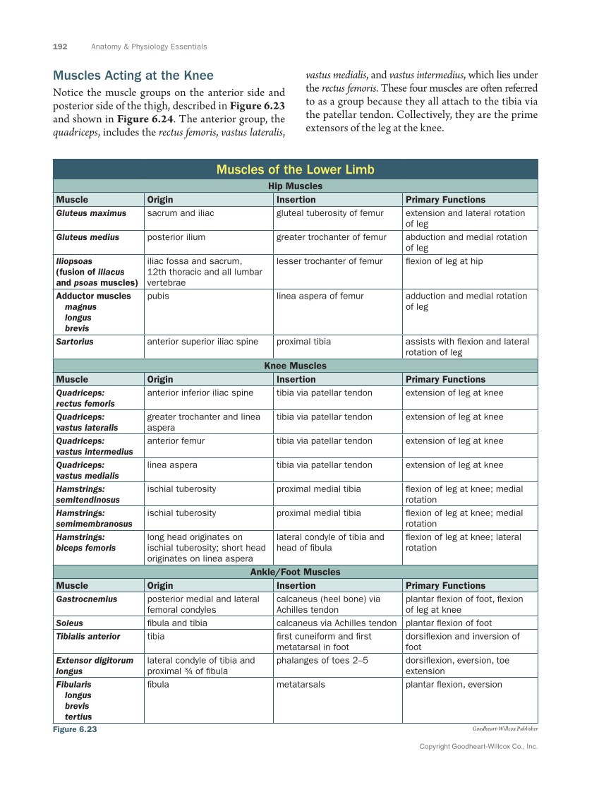 Anatomy & Physiology Essentials 2e, Textbook page 192