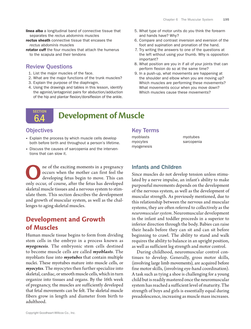 Anatomy & Physiology Essentials 2e, Textbook page 195