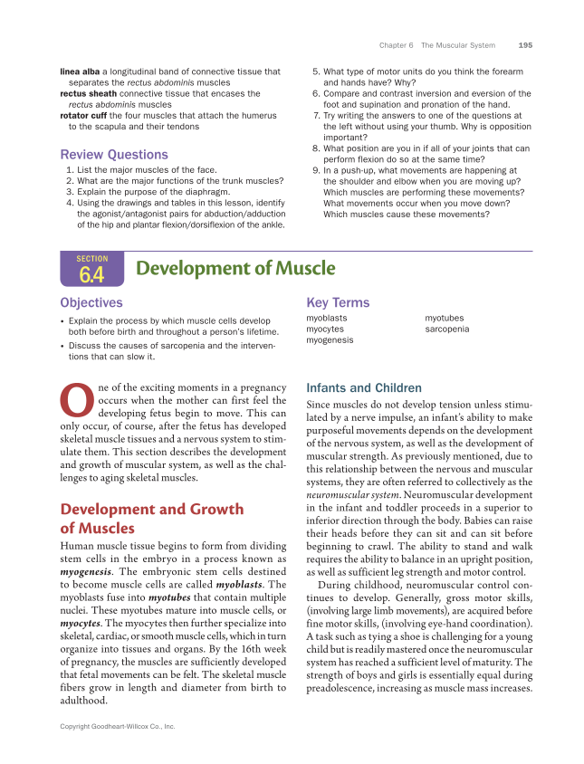Anatomy & Physiology Essentials 2e, Textbook page 195