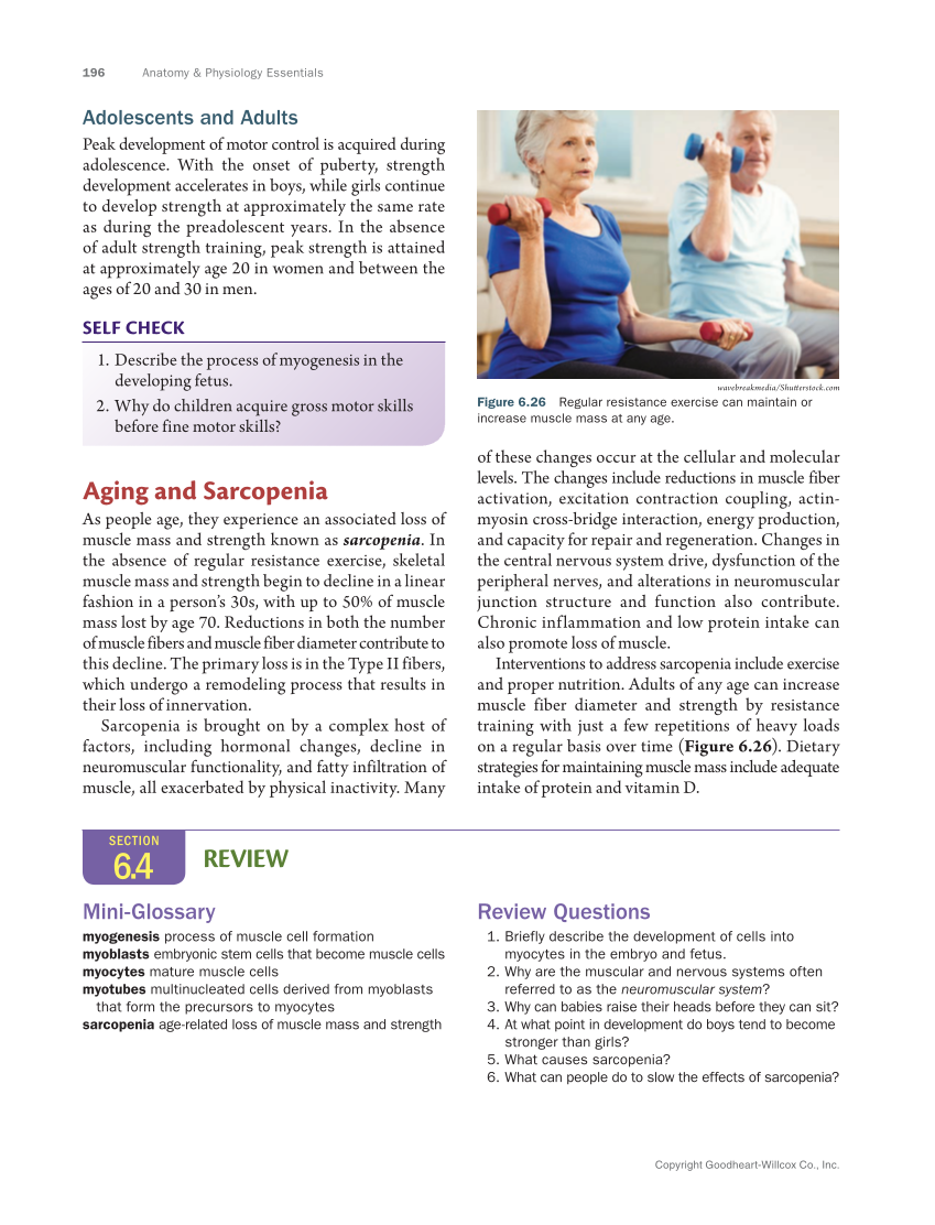 Anatomy & Physiology Essentials 2e, Textbook page 196