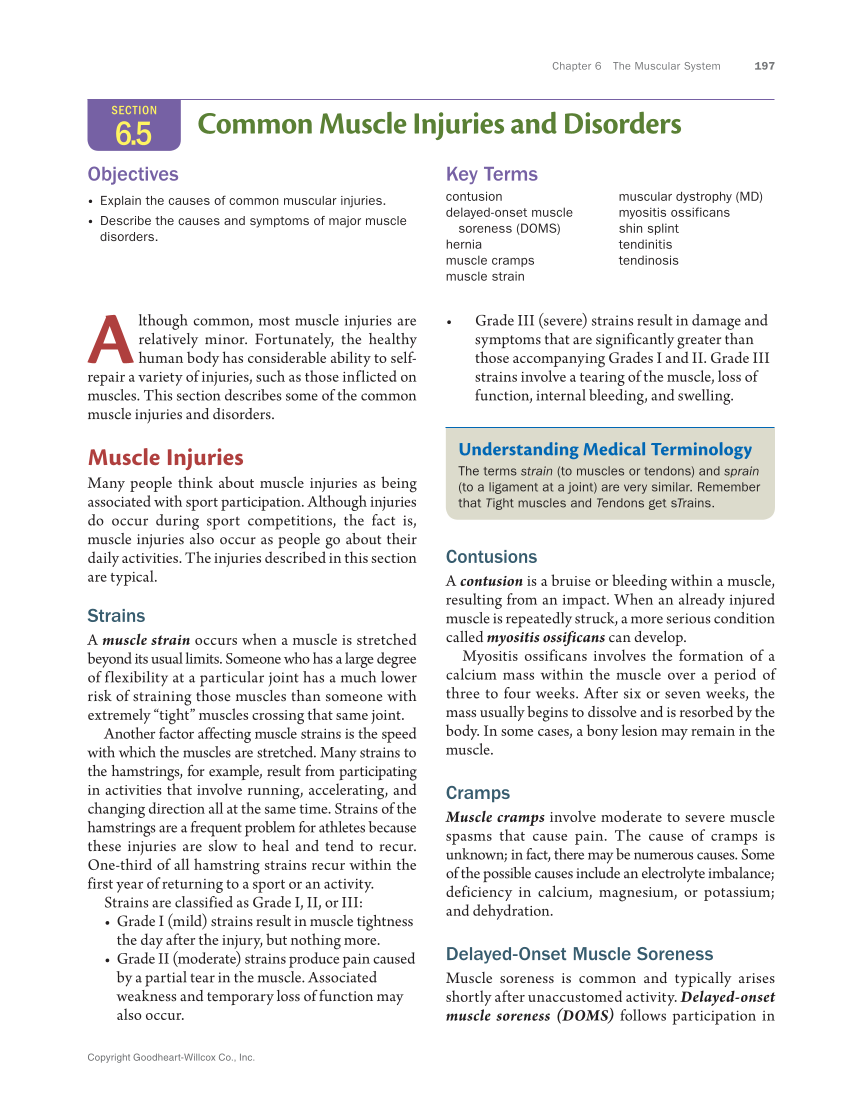 Anatomy & Physiology Essentials 2e, Textbook page 197