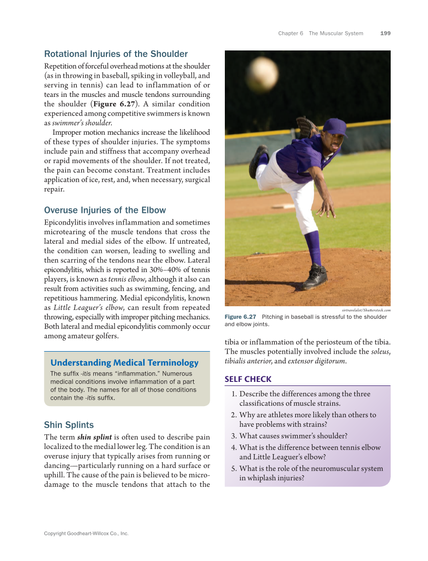 Anatomy & Physiology Essentials 2e, Textbook page 199