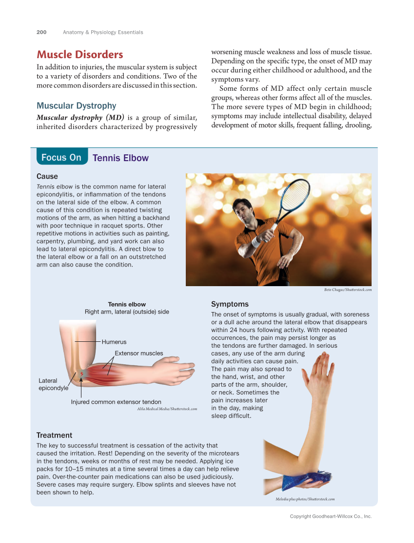 Anatomy & Physiology Essentials 2e, Textbook page 200