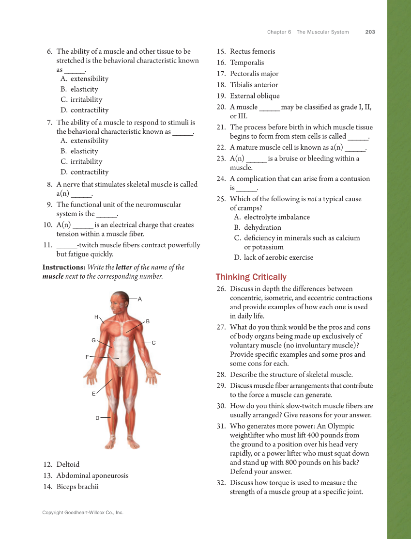 Anatomy & Physiology Essentials 2e, Textbook page 203