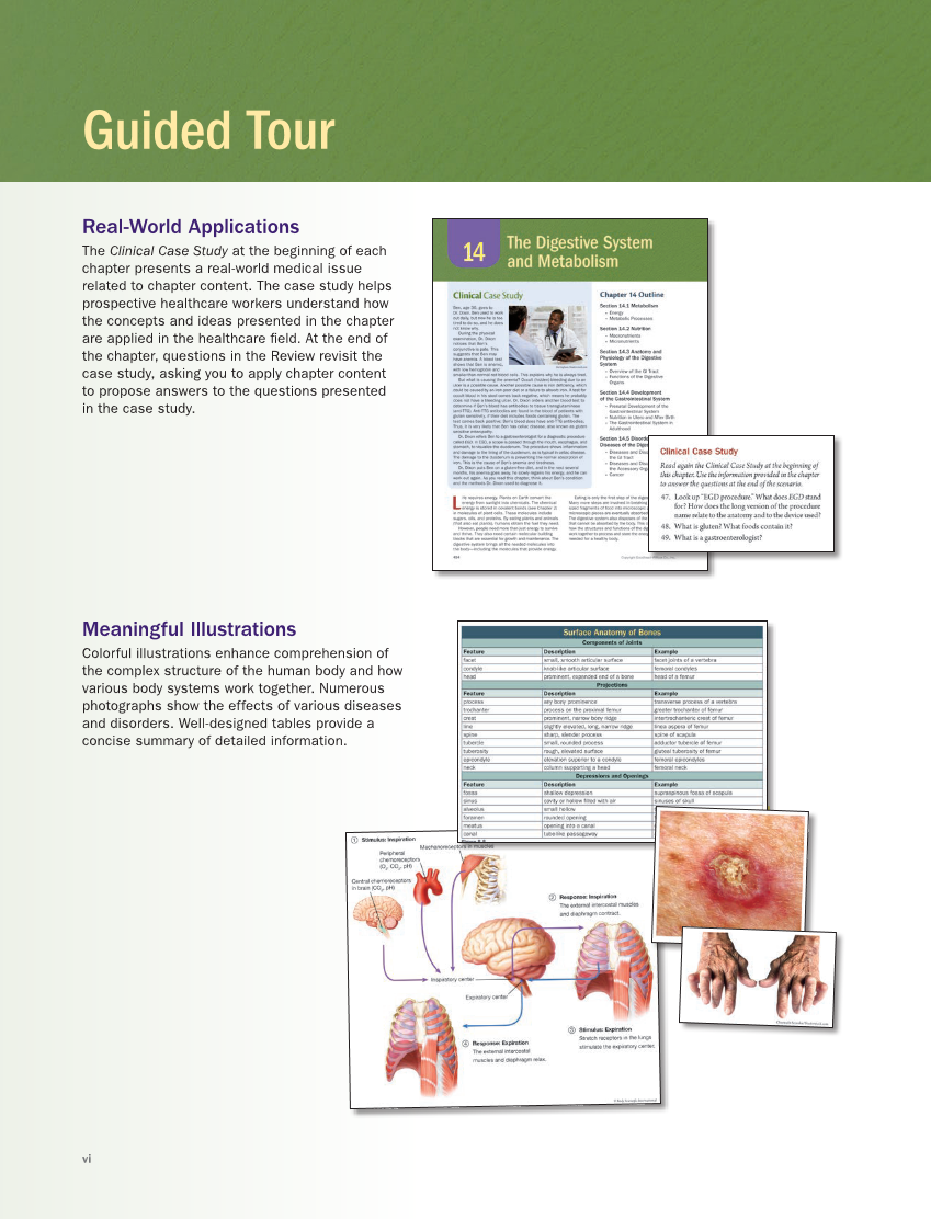 Anatomy & Physiology Essentials 2e, Textbook page vi