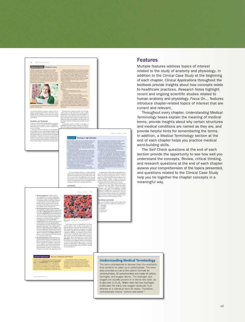 Anatomy & Physiology Essentials 2e, Textbook page vii