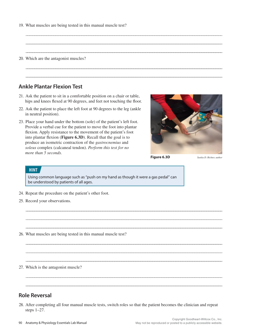 Anatomy & Physiology Essentials 2e, Laboratory Manual page 90