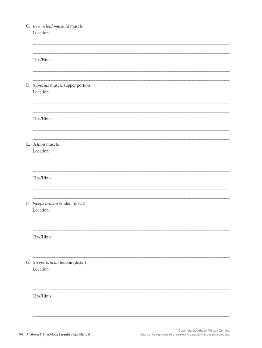 Anatomy & Physiology Essentials 2e, Laboratory Manual page 94