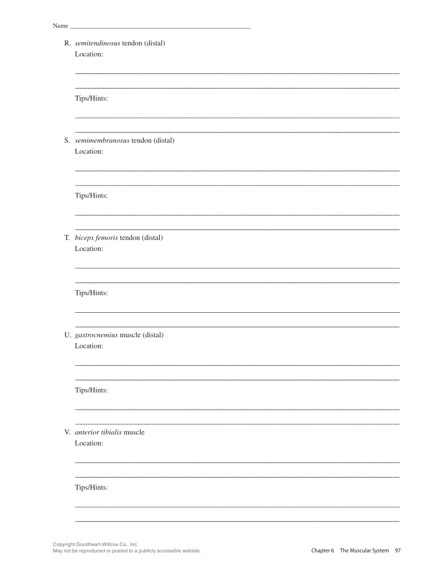 Anatomy & Physiology Essentials 2e, Laboratory Manual page 97