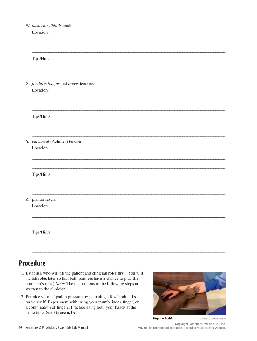 Anatomy & Physiology Essentials 2e, Laboratory Manual page 98