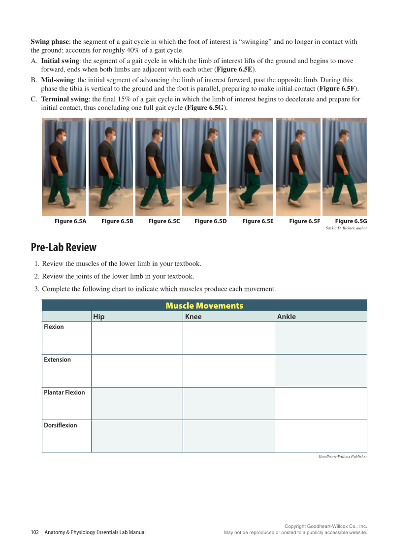 Anatomy & Physiology Essentials 2e, Laboratory Manual page 102