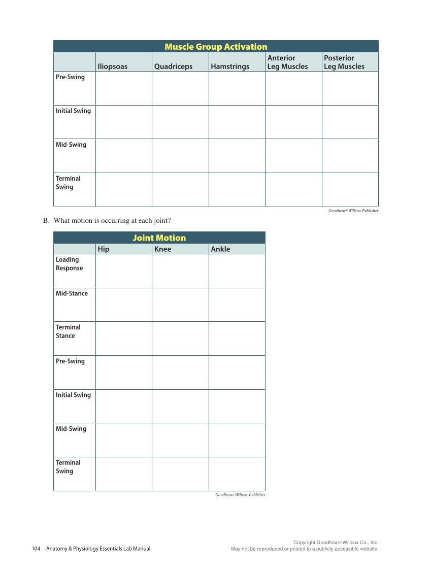 Anatomy & Physiology Essentials 2e, Laboratory Manual page 104