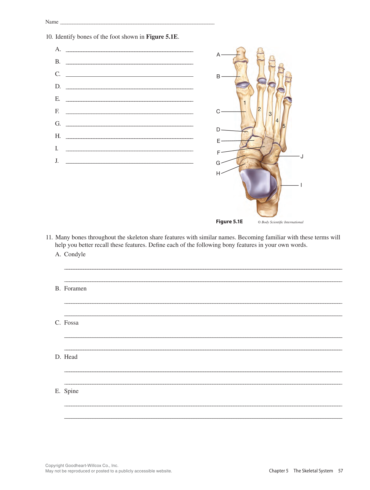 Anatomy & Physiology Essentials 2e, Laboratory Manual page 57