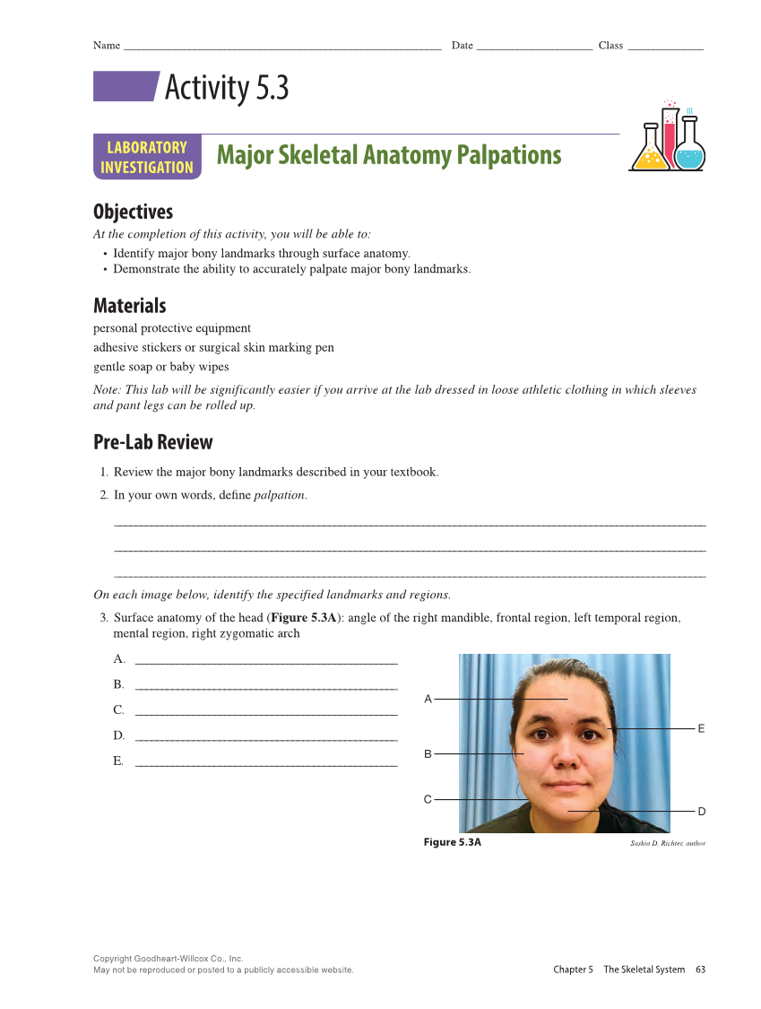 Anatomy & Physiology Essentials 2e, Laboratory Manual page 63